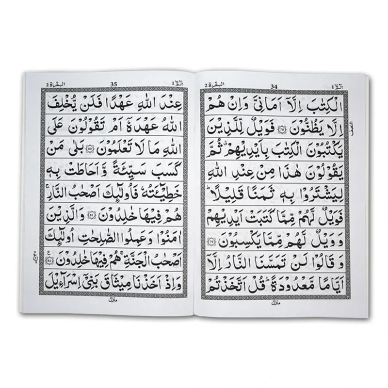 Taj Company 9 line 30 Para Quran Set with bold font on 10-30C inner pages/inner image.