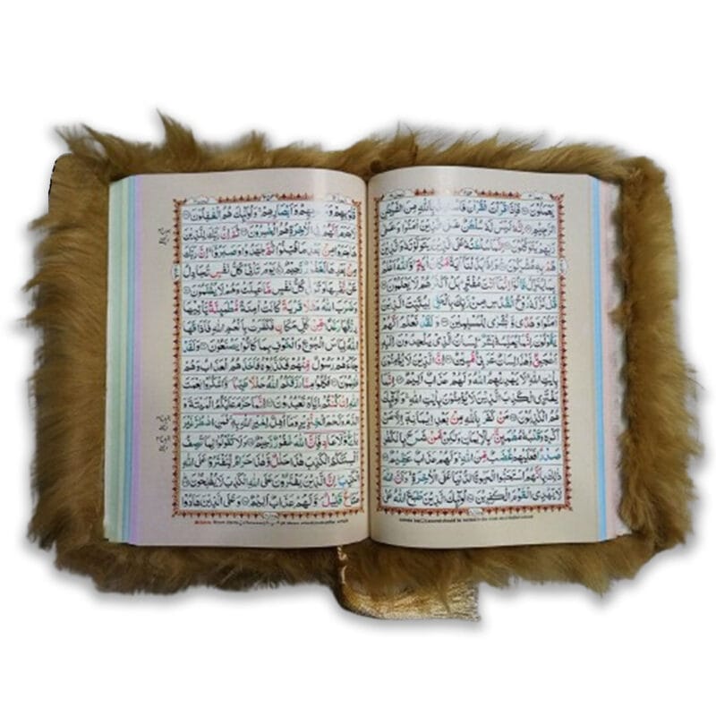 Soft Bright Gold Lion Furr Rainbow Quran 16 Lines Tajweedi (Limited Edition) - Image 2