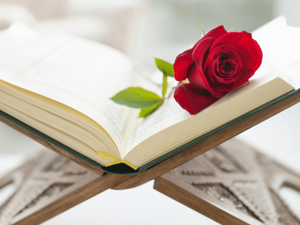 Buy Quran Online in Sahiwal – Fast, Easy & Authentic Delivery