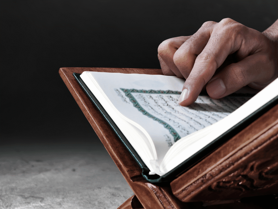 Tarjuman ul Quran Urdu Tafseer by Maulana Maududi | Buy Online at Quraan.pk