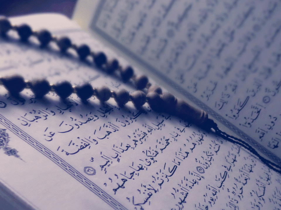 Tarjuman ul Quran by Maulana Maududi – Authentic Urdu Tafseer, Now Available at Quraan.pk