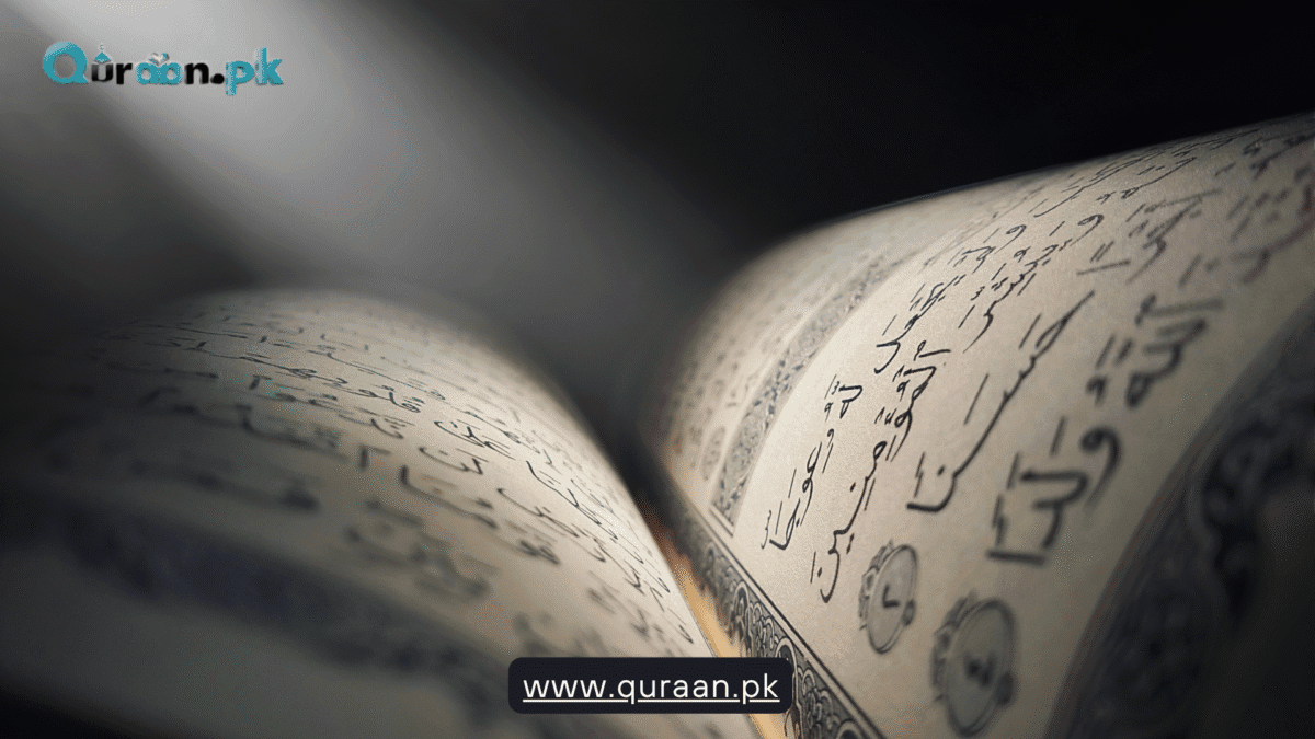 Elegant Leather Qurans – Where Beauty Meets Spiritual Grace | Quraan.pk
