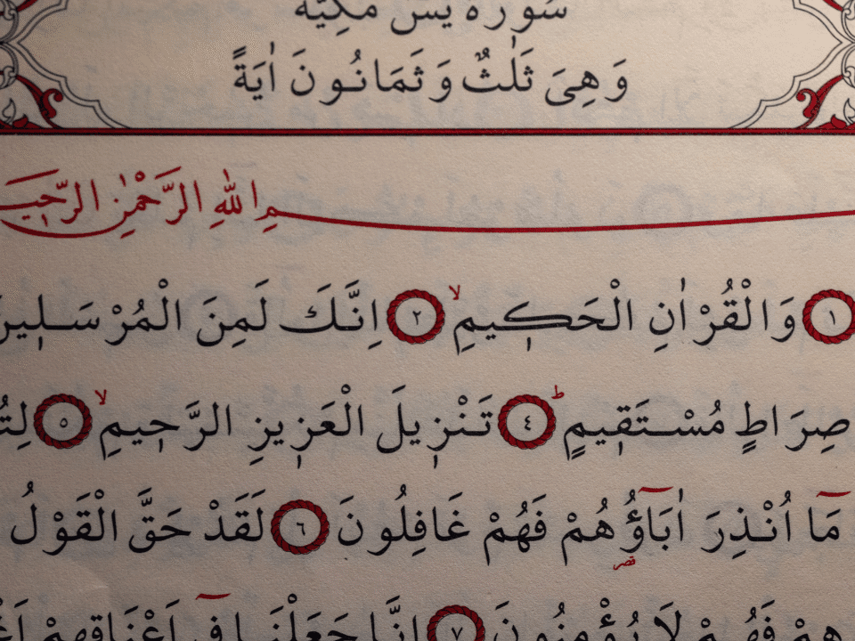 Perfumed Surah Yaseen with Tajweed by Taj Company – Buy Now