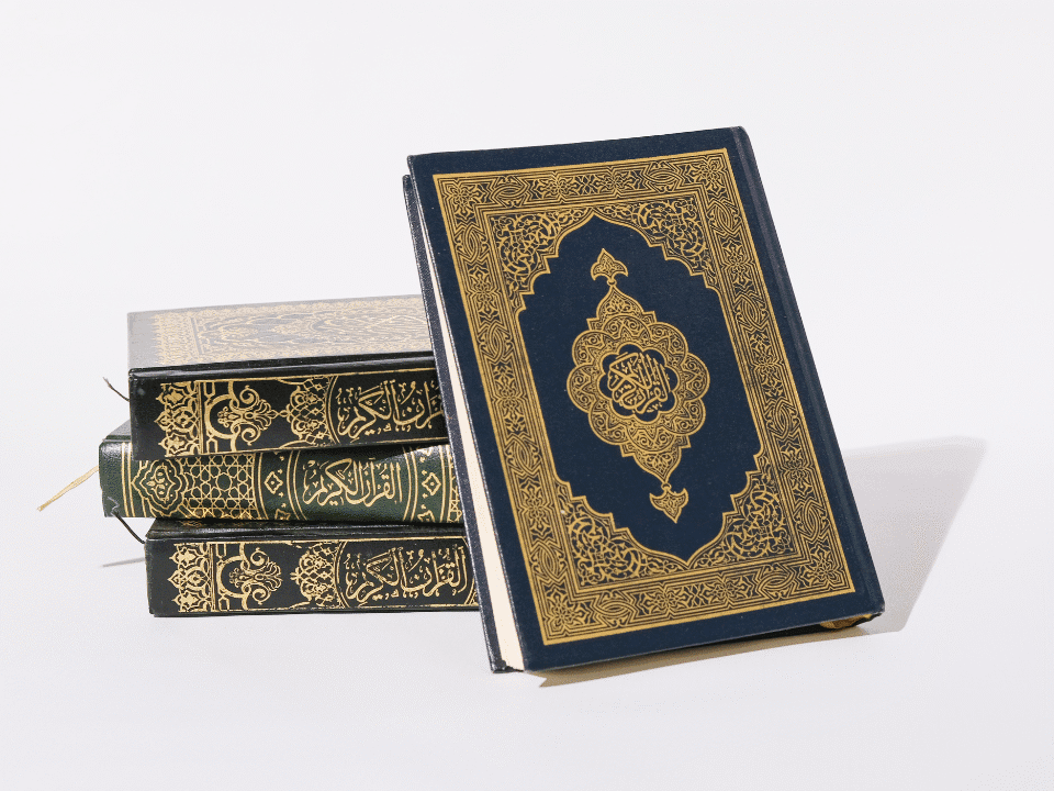 Tafheem ul Quran Urdu by Maulana Maududi – Buy Online in Pakistan | Quraan.pk