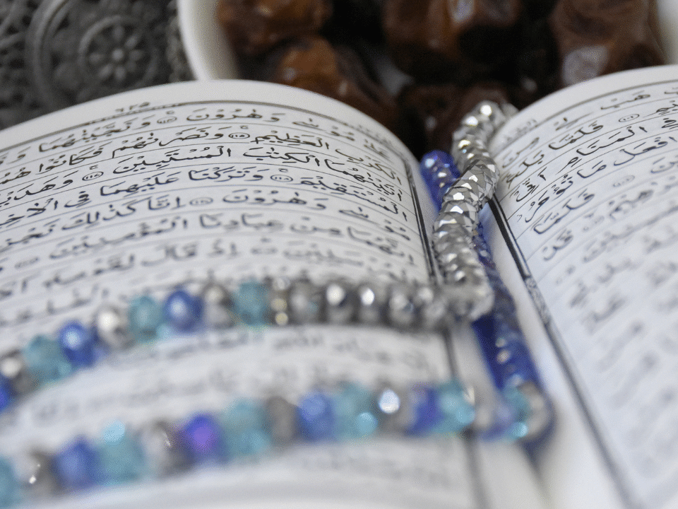 Discover the wisdom of Maulana Maududi Quran Translation – Authentic Tafheem-ul-Quran now available at Quraan.pk.