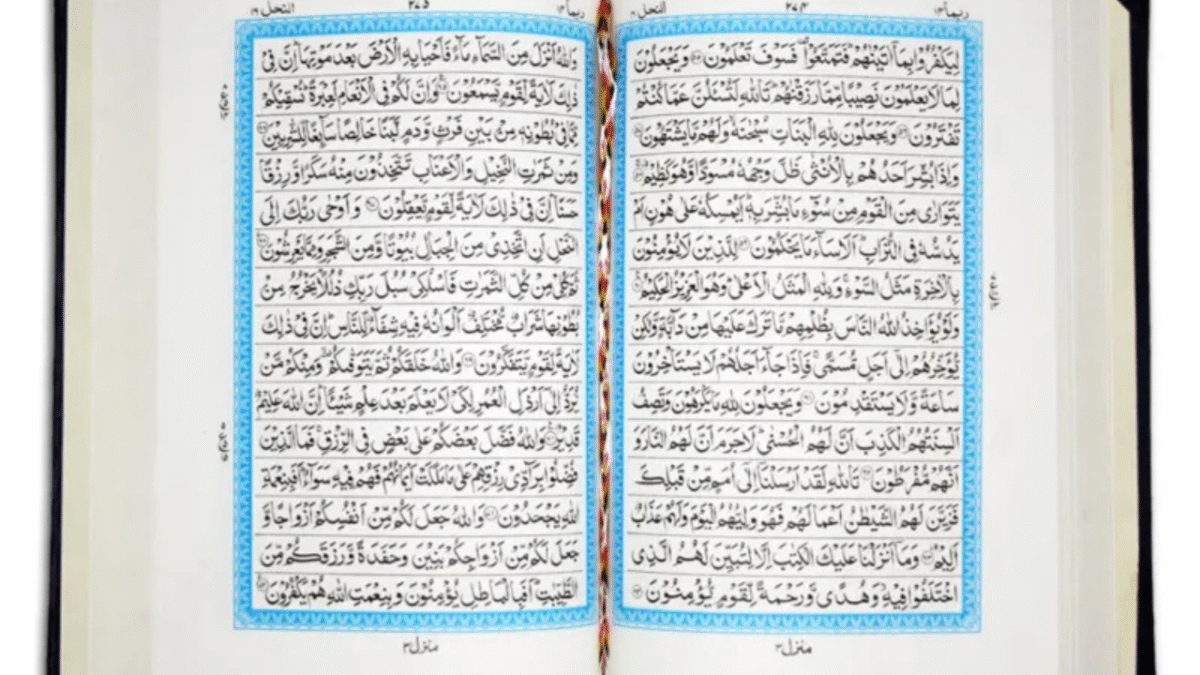 Download the 15 Lines Quran PDF from Quraan.pk – Perfect for Hifz, Tafseer, and daily recitation. Explore Taj Company, Qudratullah, Kanzul Iman, Rainbow Quran & more!