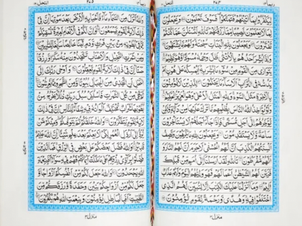 Download the 15 Lines Quran PDF from Quraan.pk – Perfect for Hifz, Tafseer, and daily recitation. Explore Taj Company, Qudratullah, Kanzul Iman, Rainbow Quran & more!