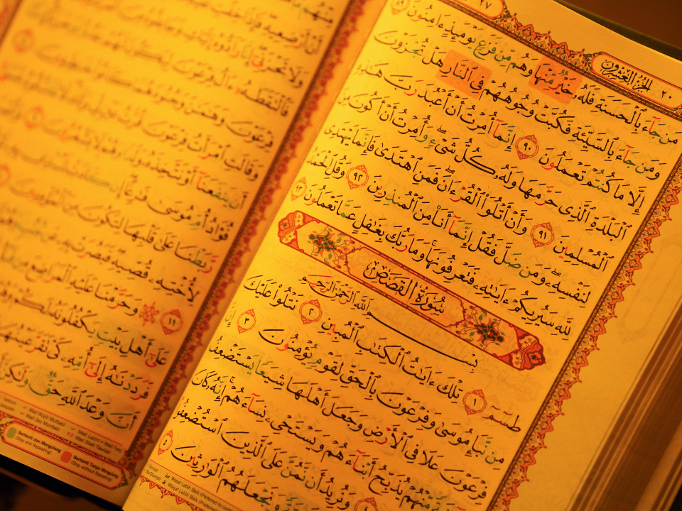 Enhance your recitation with Color Coded Tajweed Qurans from Quraan.pk – accuracy, fluency, and beauty in every verse.