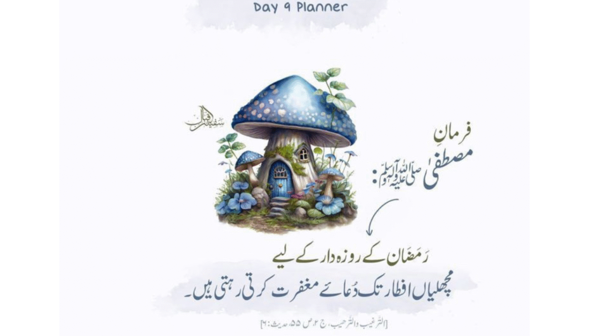 Zakat & sadaqah purify your wealth and soul in Ramadan.