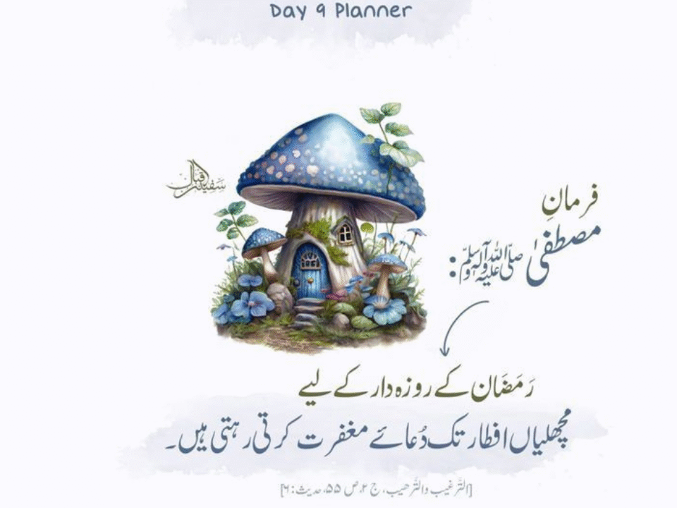 Zakat & sadaqah purify your wealth and soul in Ramadan.